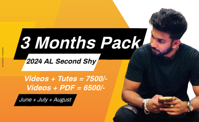 2024 AL Second Shy Three Months Pack – June, July, August